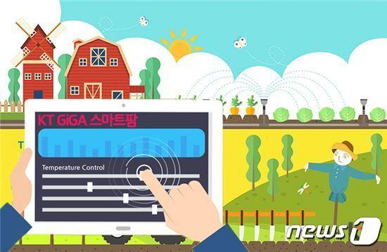 본문 이미지 - KT스마트팜 개념도(KT제공) 2024.3.15/뉴스1