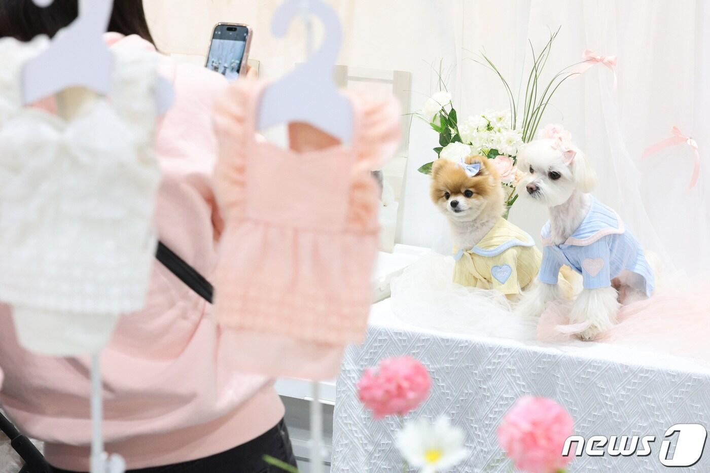 본문 이미지 - (자료사진) 2024.3.15/뉴스1 ⓒ News1 신웅수 기자