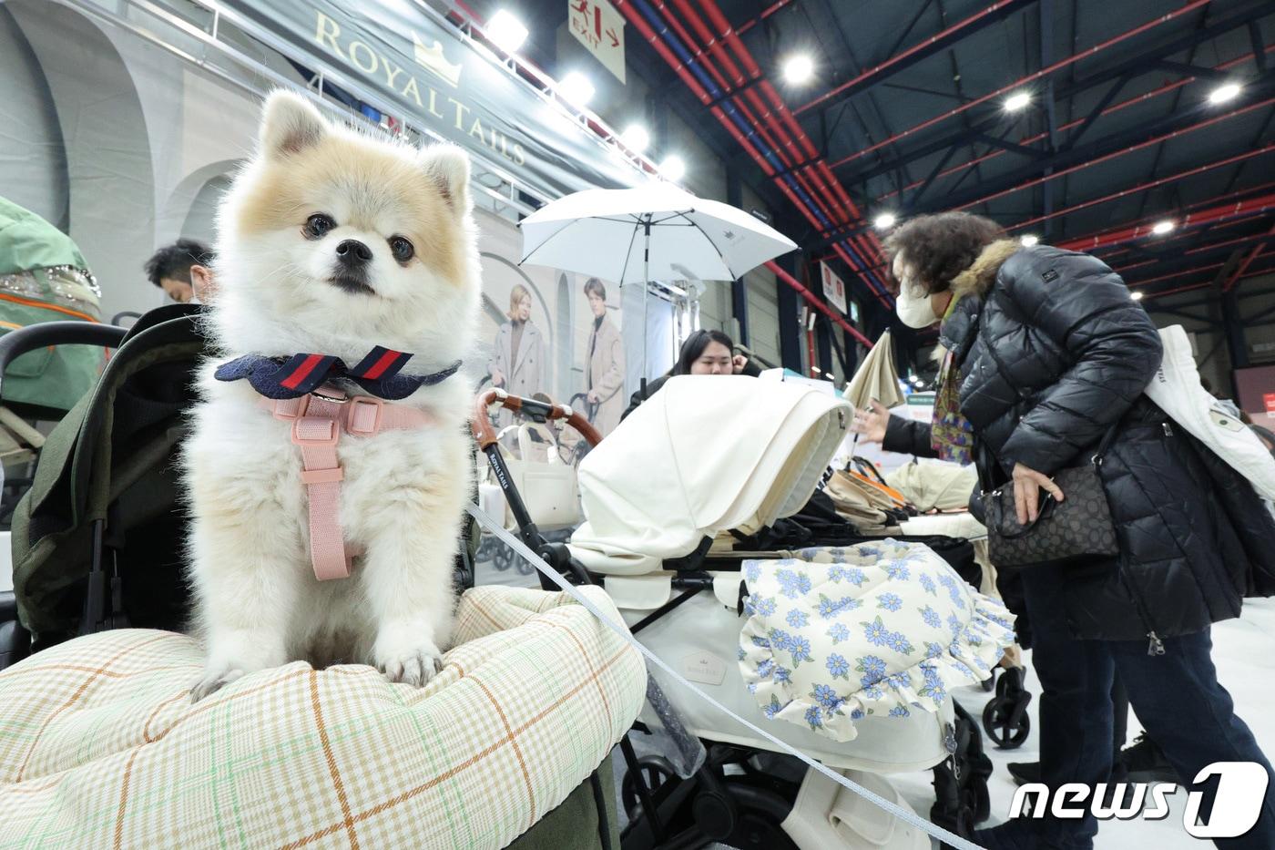 서울 강남구 세텍(SETEC)에서 열린 '2024 케이펫페어 세텍'에서 관람객들이 반려동물 용품을 고르고 있다. /뉴스1 ⓒ News1 신웅수 기자