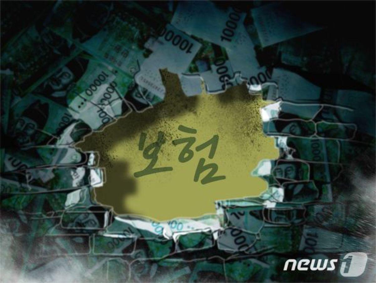 본문 이미지 - ⓒ News1 DB