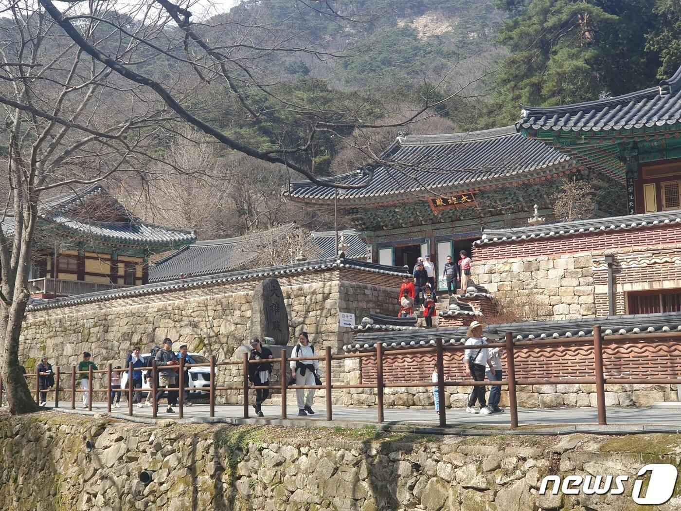 본문 이미지 -  16일 계룡산 국립공원에 탐방객들이 동학사 근처를 걷고 있다. (계룡산 국립공원 제공)/뉴스1