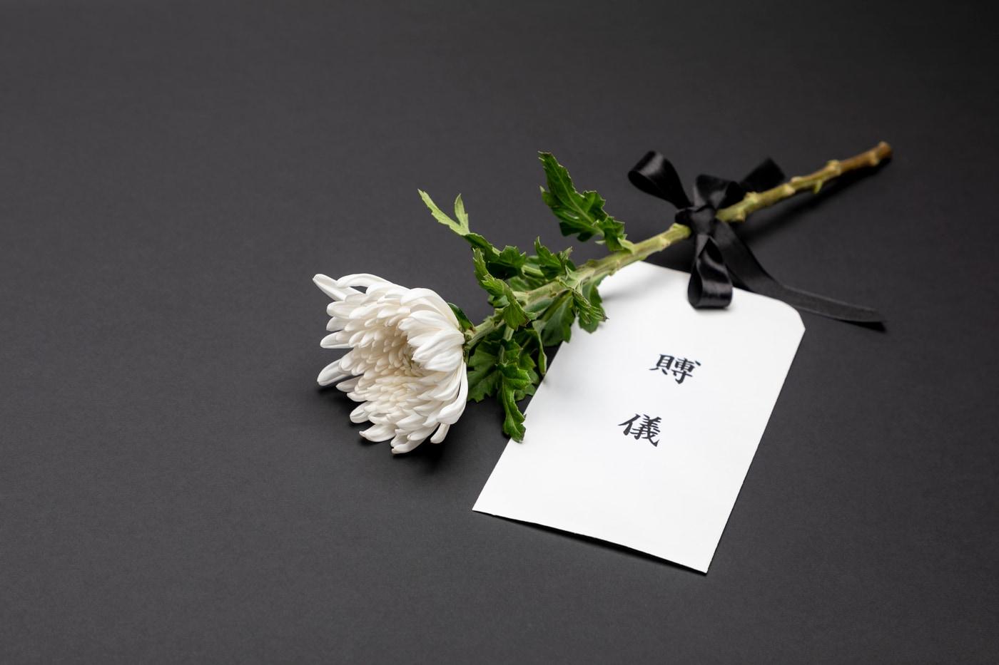 본문 이미지 - (사진은 기사 내용과 무관함) / 뉴스1 ⓒ News1