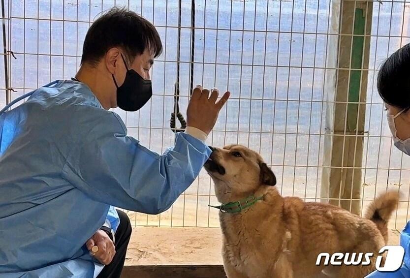 본문 이미지 - VIP동물의료센터는 19일 경기 양주시 민간 유실유기동물보호소에서 봉사활동을 진행했다.(VIP동물의료센터 제공) ⓒ 뉴스1