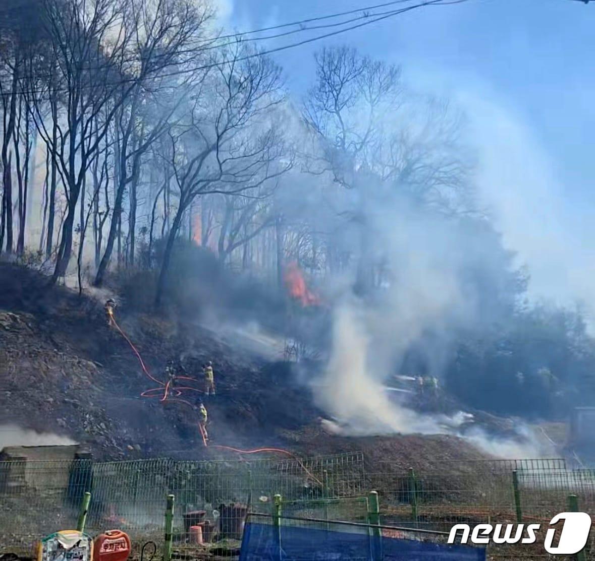 본문 이미지 - 20일 오후 1시 11분쯤 광주 동구 학동의 미양산에서 불이 나 소방과 산림당국이 진화작업을 하고 있다. (광주 동구 제공) 2024.3.20/뉴스1 