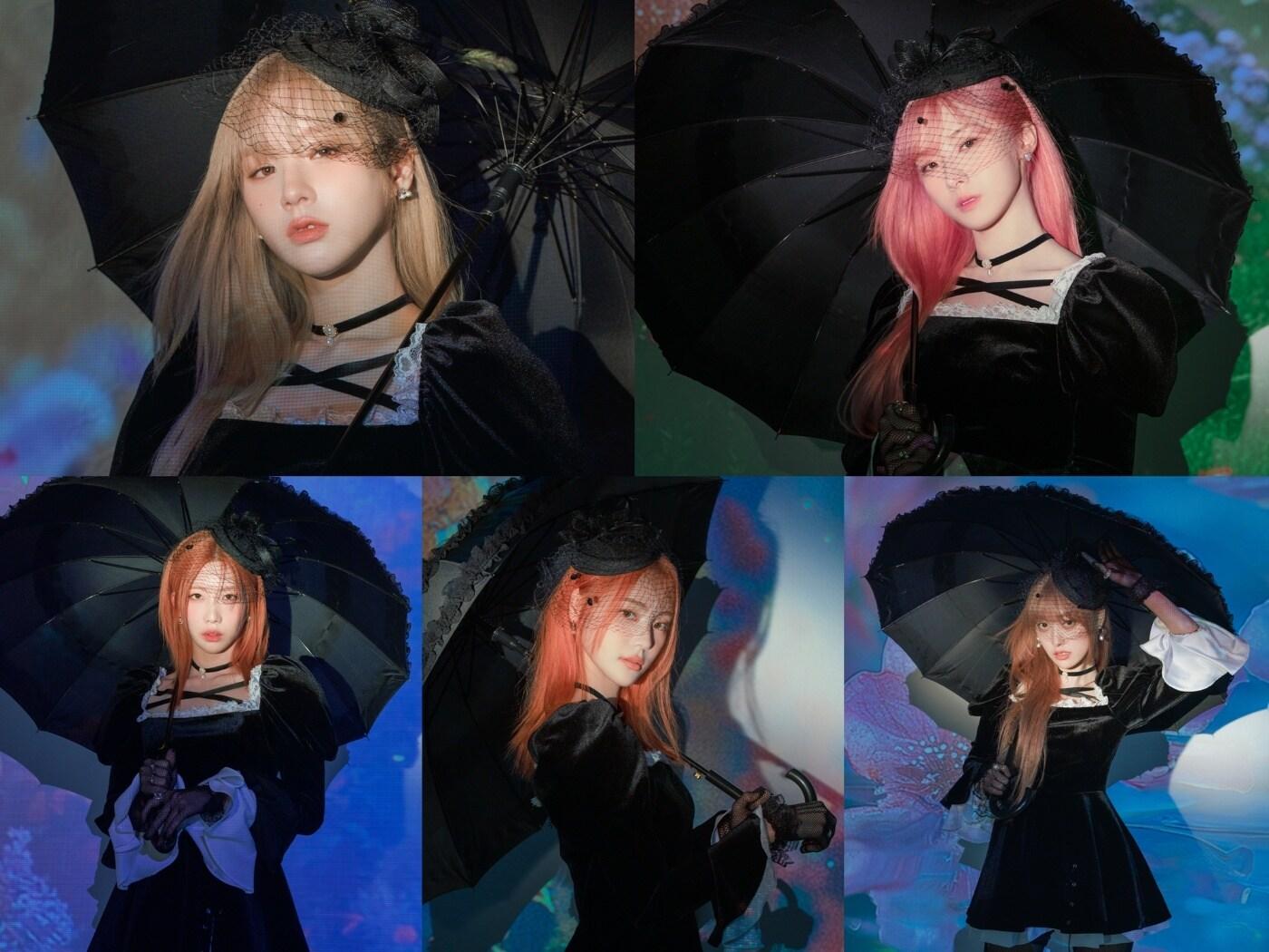 본문 이미지 - 사진제공=모드하우스