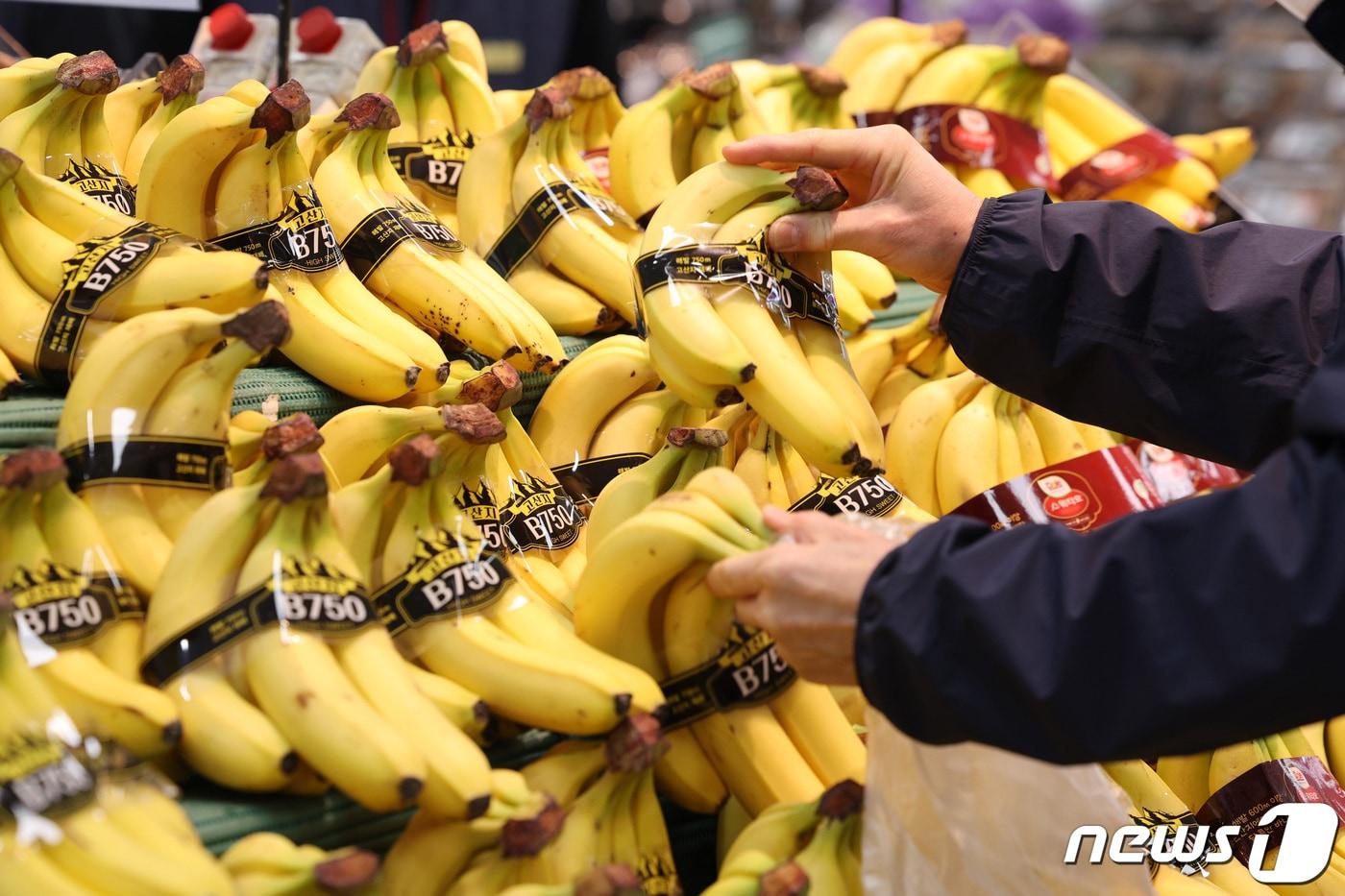 본문 이미지 - 서울의 한 대형마트에서 바나나를 고르는 시민들의 모습. 2024.3.20/뉴스1 ⓒ News1 신웅수 기자