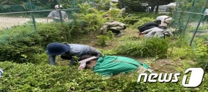 본문 이미지 - 시민정원사 교육생들이 밭을 가꾸고 있다. (서울시 제공)ⓒ 뉴스1