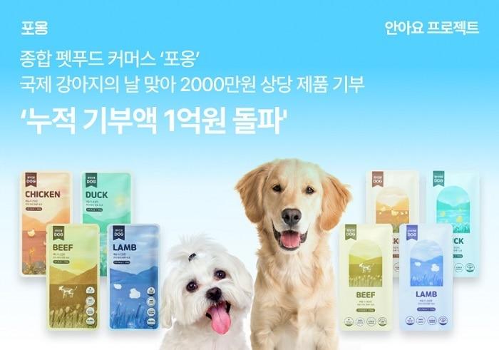 본문 이미지 - 사진=포옹 제공