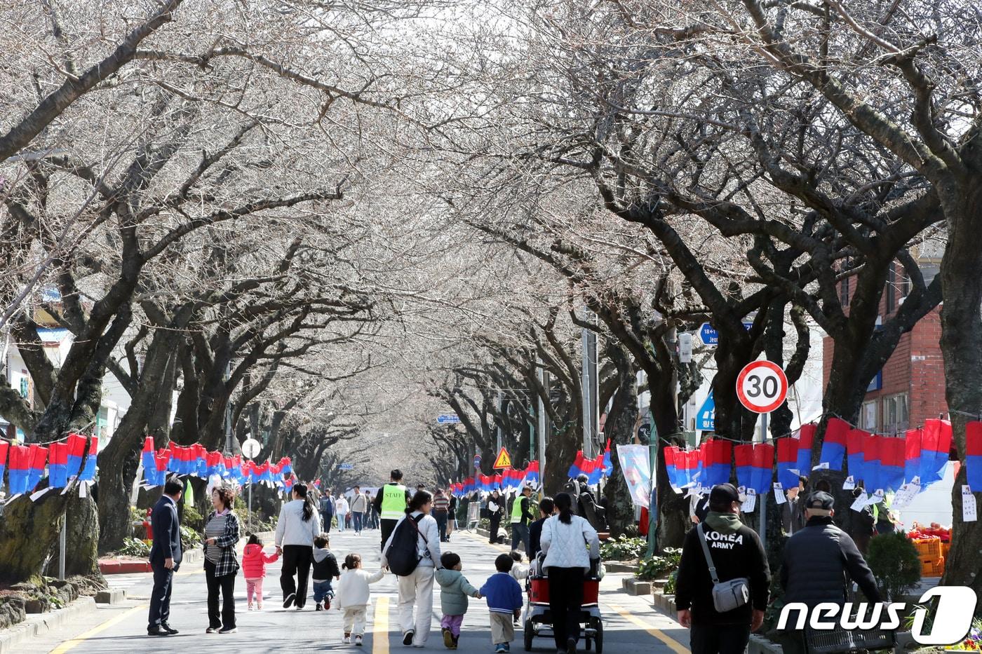  제주시 전농로에서 도민과 관광객들이 벚꽃이 피지 않은 거리를 거닐고 있다. 2024.3.22/뉴스1 ⓒ News1 오현지 기자