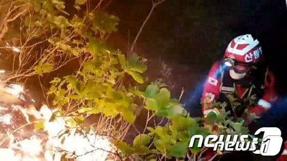본문 이미지 - 산림청 산불 진화대원들이 2020년 강원 고성군 토성면 인근 야산 산불 진화하는 모습. (산림청 제공)/뉴스1