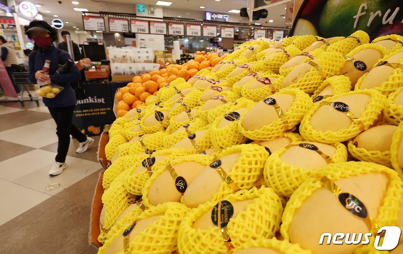서울 시내 한 마트에 망고가 진열돼 있다. 2024.3.24/뉴스1 ⓒ News1 김성진 기자