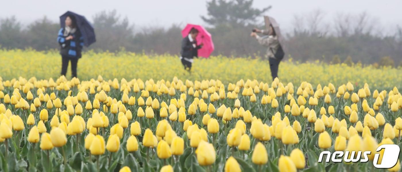 본문 이미지 - 자료사진. ⓒ 뉴스1