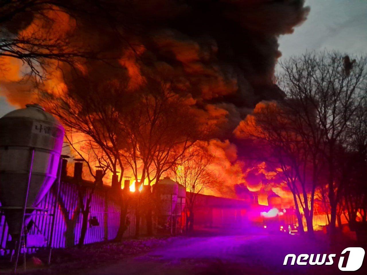 본문 이미지 - 화재 현장 모습.&#40;경기도소방재난본부 제공&#41;
