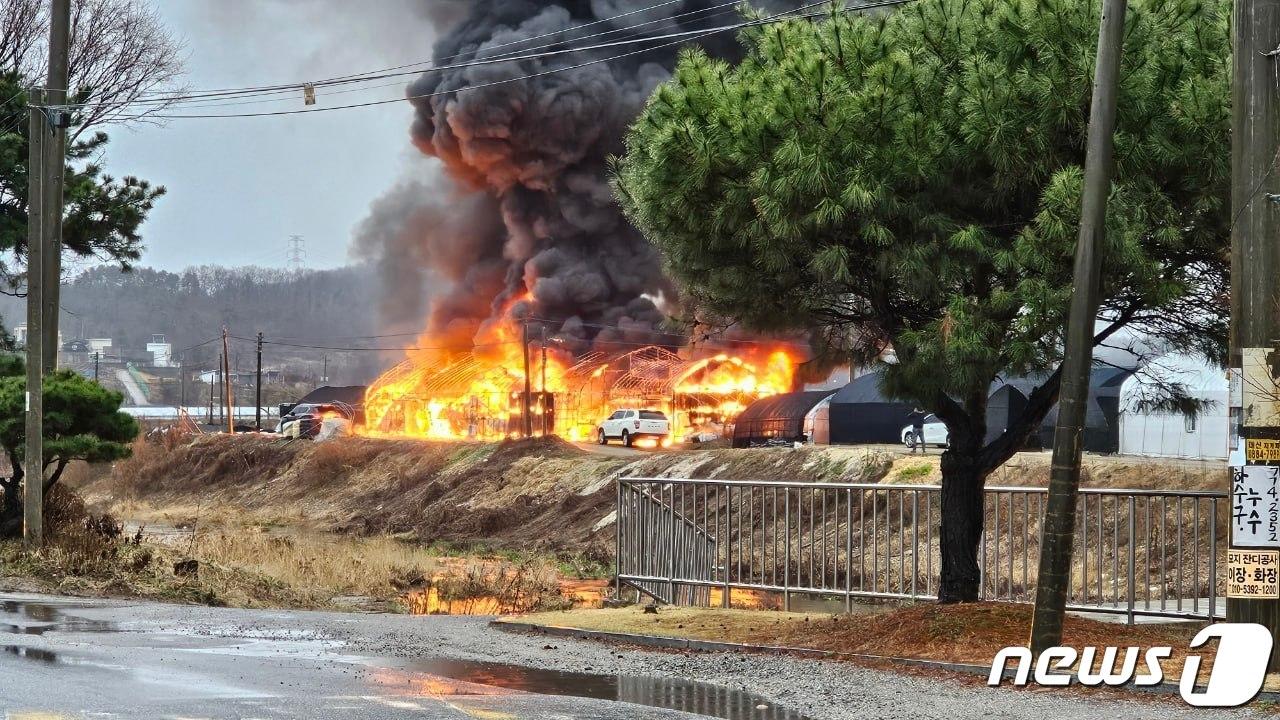 본문 이미지 - 여주 비닐하우스 화재 현장.(경기도소방재난본부 제공)