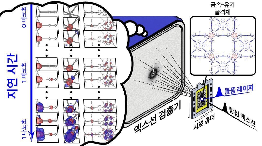 본문 이미지 - 금속–유기 골격체에 대한 시간분해 연속 펨토초 결정학 실험 구성도. (기초연 제공)/뉴스1