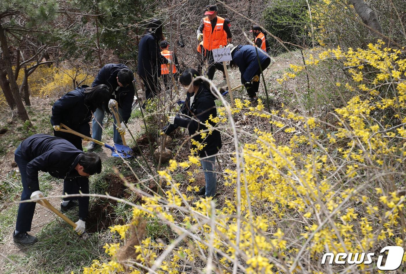 본문 이미지 - 지난 3월27일 부산 부산진구 백양산 용골 일원에서 열린 제79회 식목일 기념 나무심기 행사에서 참석자들이 나무를 심고 있다. (자료사진) 2024.3.27/뉴스1 ⓒ News1 윤일지 기자