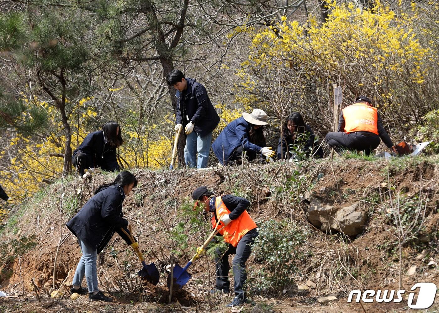본문 이미지 - 기사 이해를 돕기 위한  자료 사진으로, 기사 내용과 직접 관련 없음. (재판매 및 DB금지)/뉴스1
