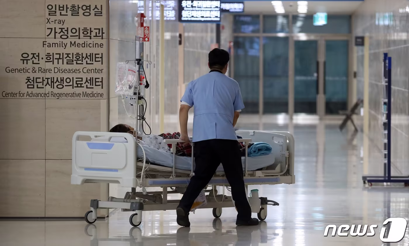 본문 이미지 - (사진은 기사 내용과 무관함) / 뉴스1 ⓒ News1