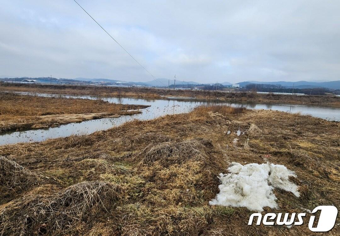 본문 이미지 - 용인시가 오는 2029년까지 청미천 지류인 율곡천(사진) 수질개선 사업을 진행한다.(용인시 제공)