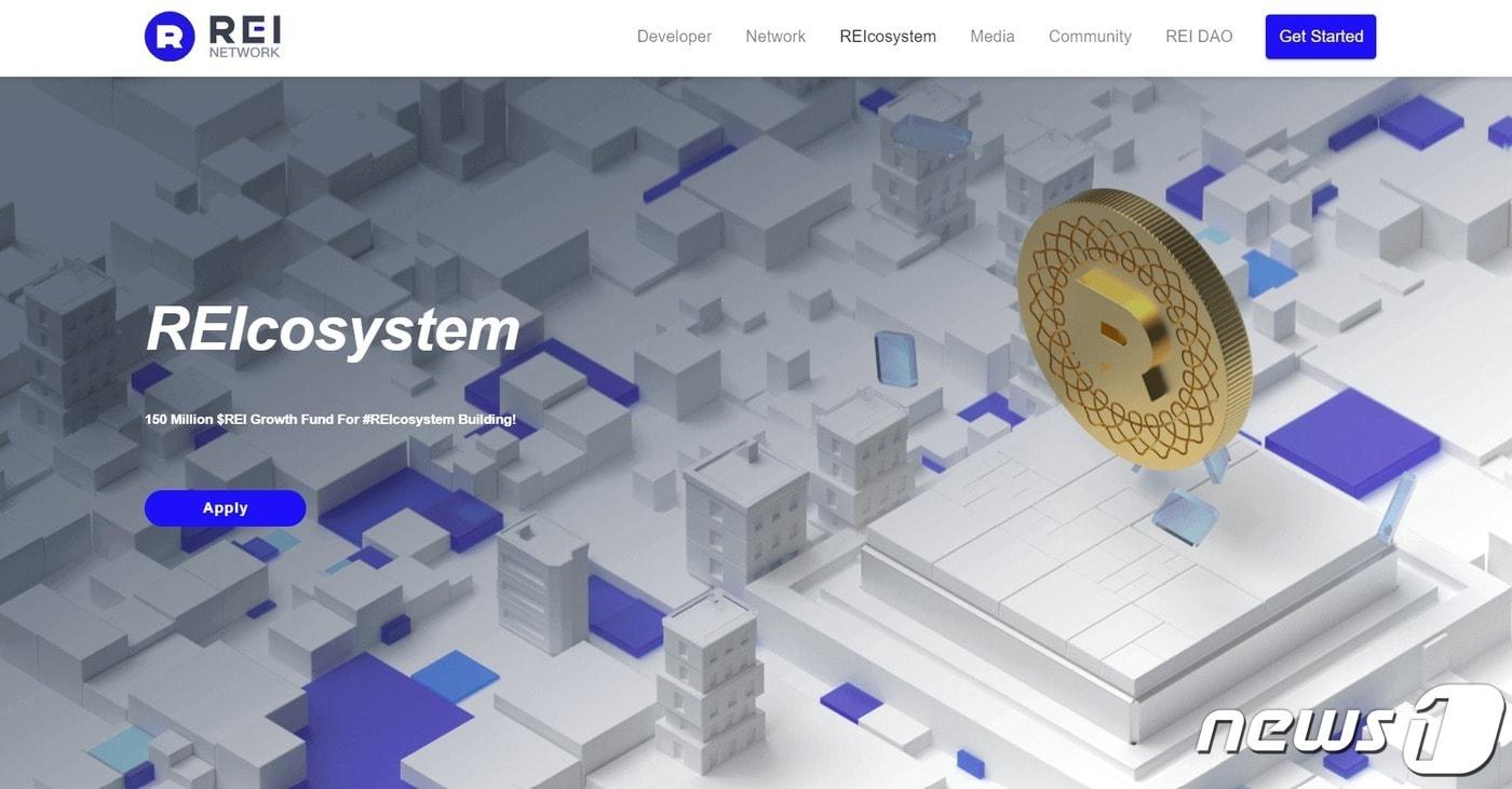 본문 이미지 - 퍼블릭 블록체인 레이 네트워크. (레이 네트워크 공식 홈페이지 캡처)