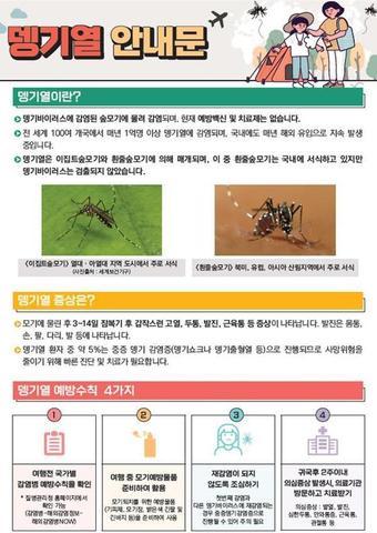본문 이미지 - 뎅기열 안내문(부산시청 제공)