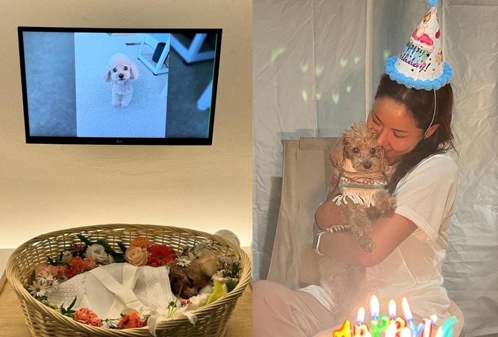 본문 이미지 - (인스타그램 갈무리)