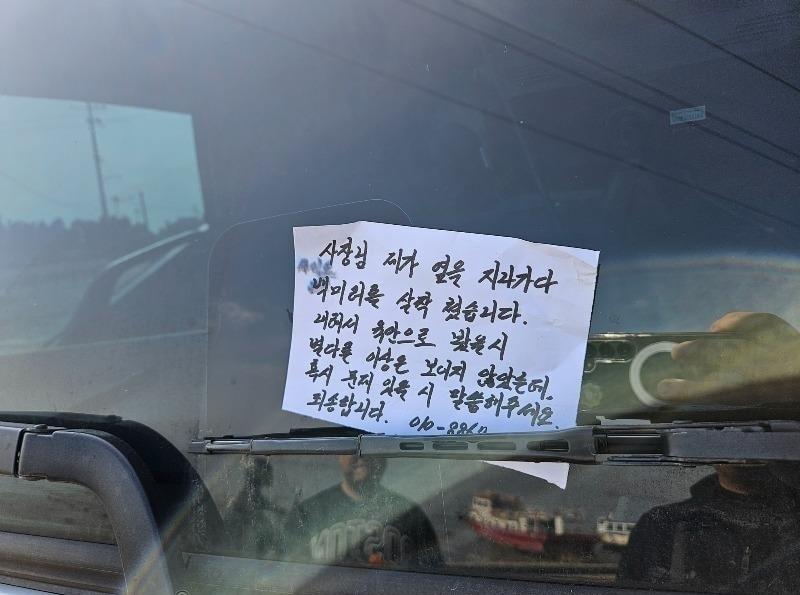 본문 이미지 - (보배드림 갈무리)