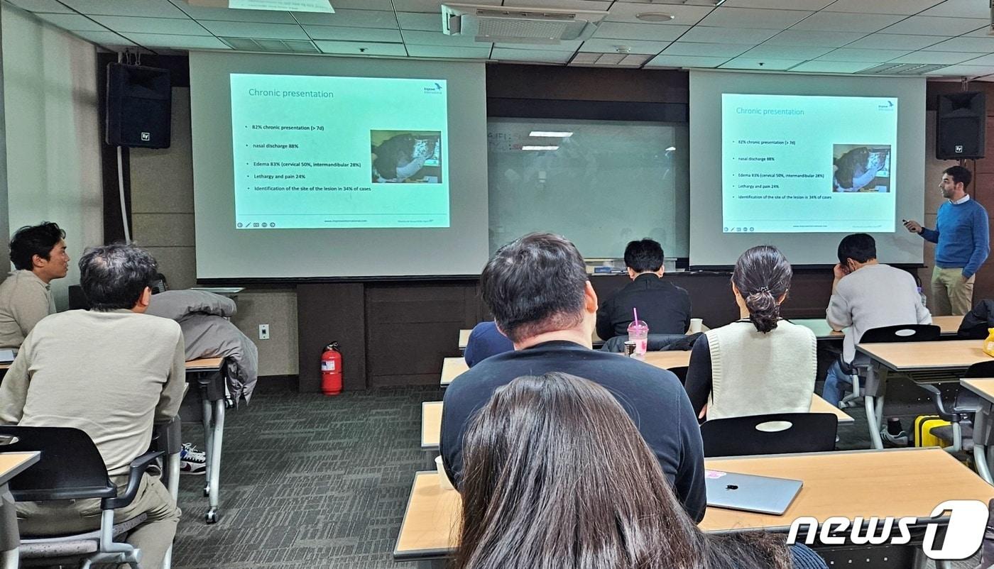 3일 서울 강남구 신원덴탈에서는 임프루브 인터내셔널 '소동물 외과학' 세미나가 열렸다. ⓒ 뉴스1 최서윤 기자