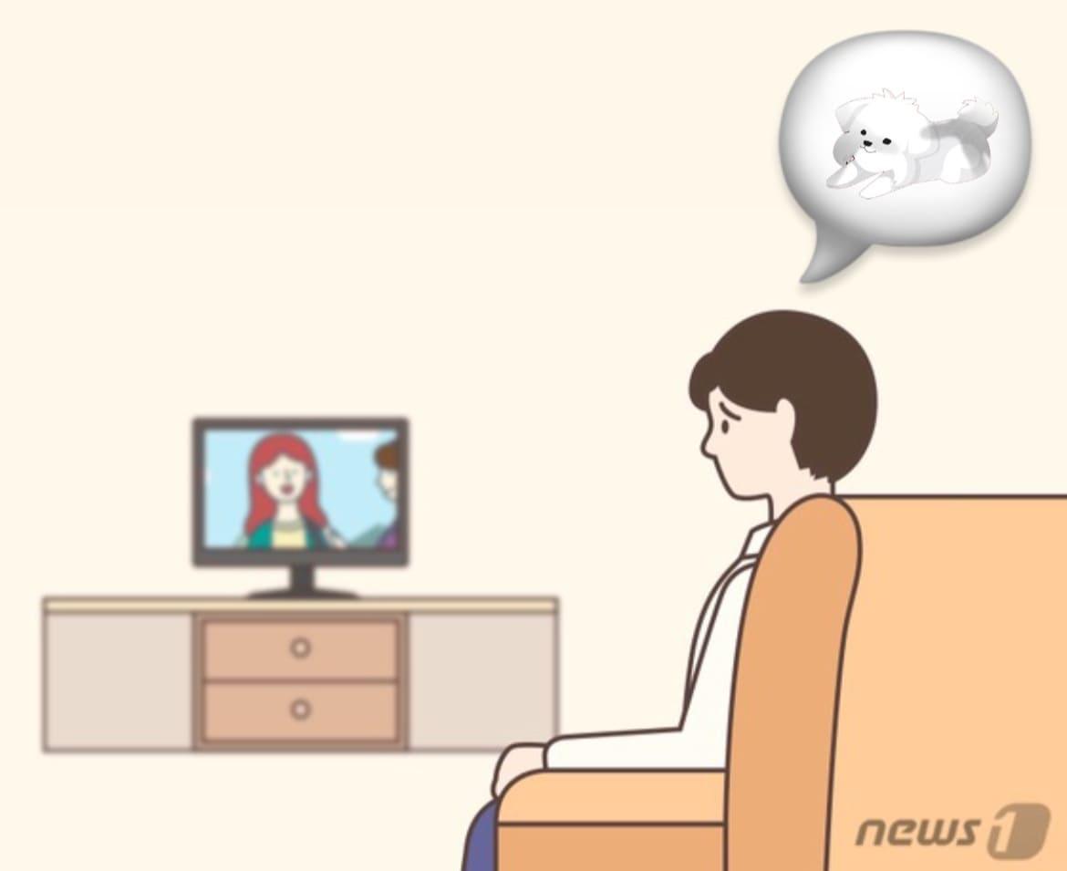 본문 이미지 - ⓒ News1 DB