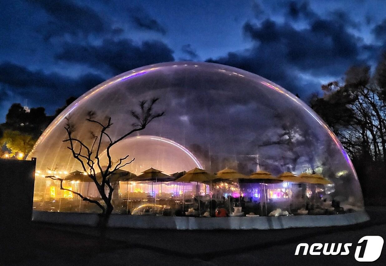 본문 이미지 - 강진청자축제-강진판타지. ⓒ News1