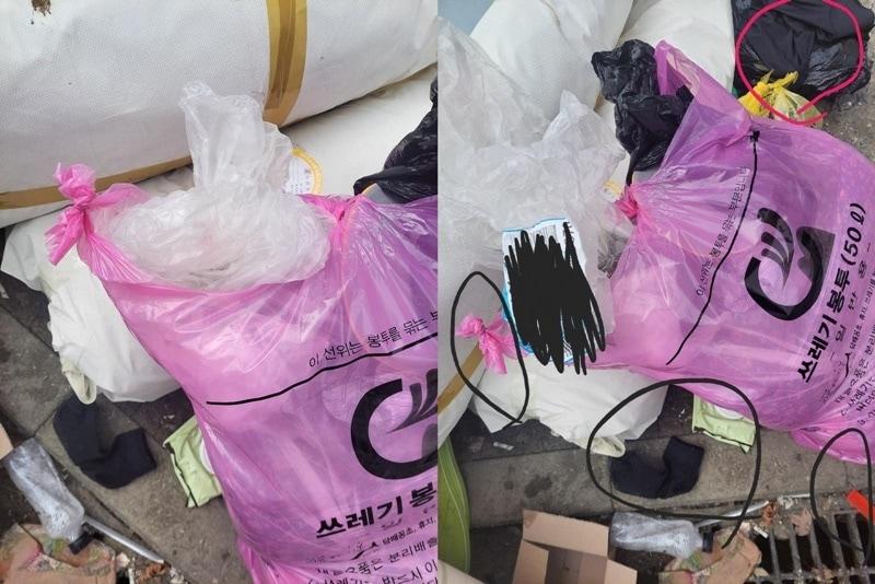 본문 이미지 - (보배드림 갈무리)