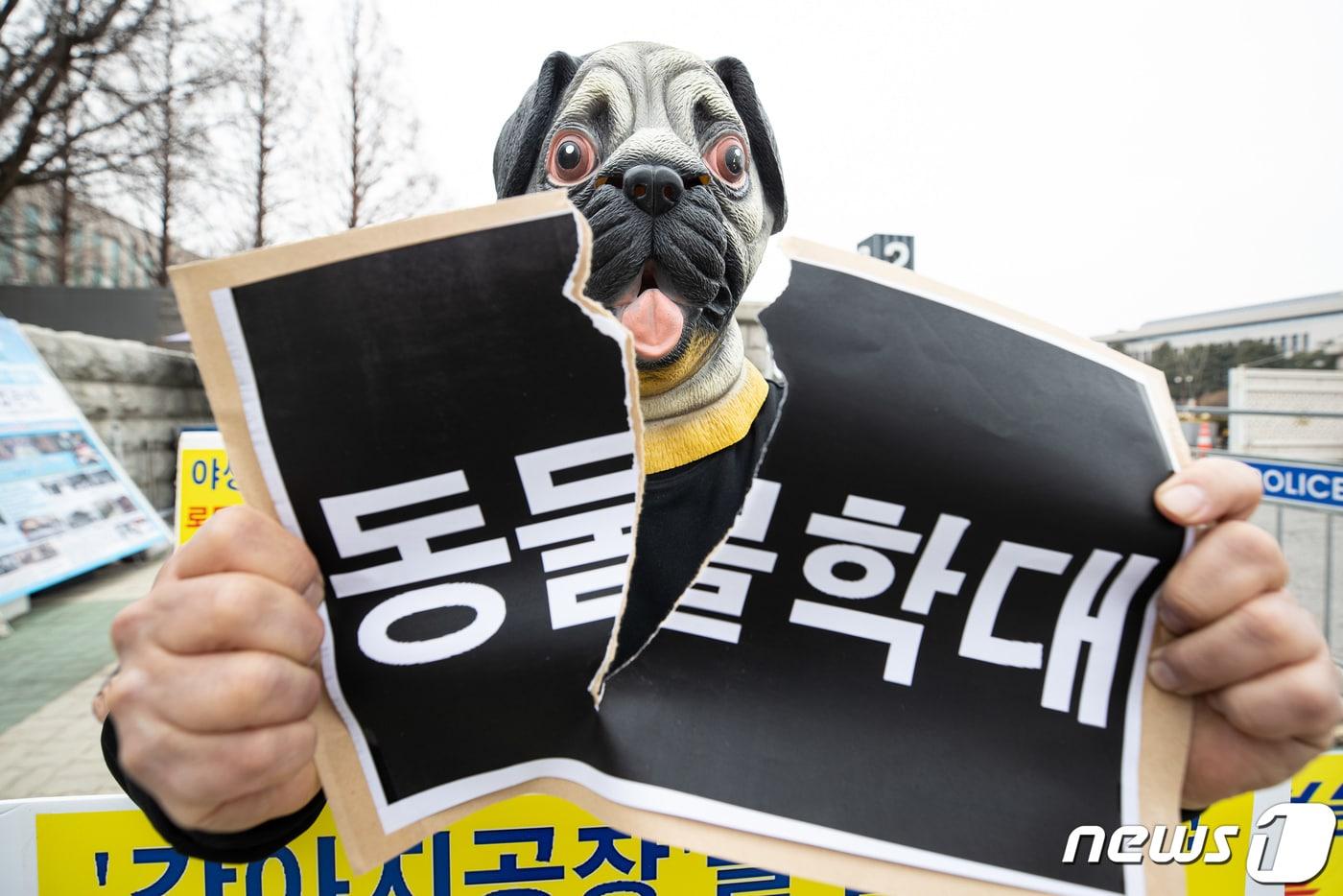 본문 이미지 - '동물복지' 정책 촉구 퍼포먼스. (사진은 기사 내용과 무관함) / 뉴스1