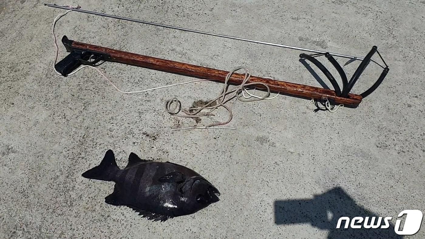 수산물 불법 포획에 사용된 도구 (서귀포해양경찰서 제공)