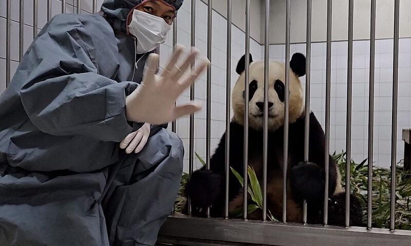 본문 이미지 - (에버랜드 네이버 팬카페 '주토피아' 갈무리)