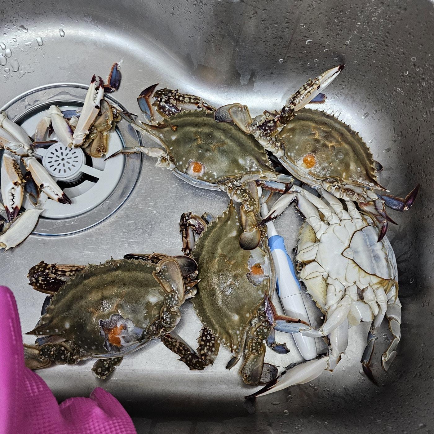 본문 이미지 - (온라인 커뮤니티 갈무리) /뉴스1