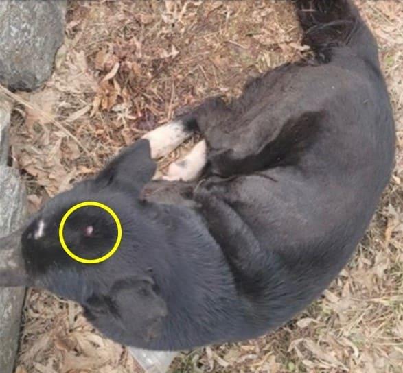 본문 이미지 - (유튜브 '그남자의 멍한여행' 갈무리)