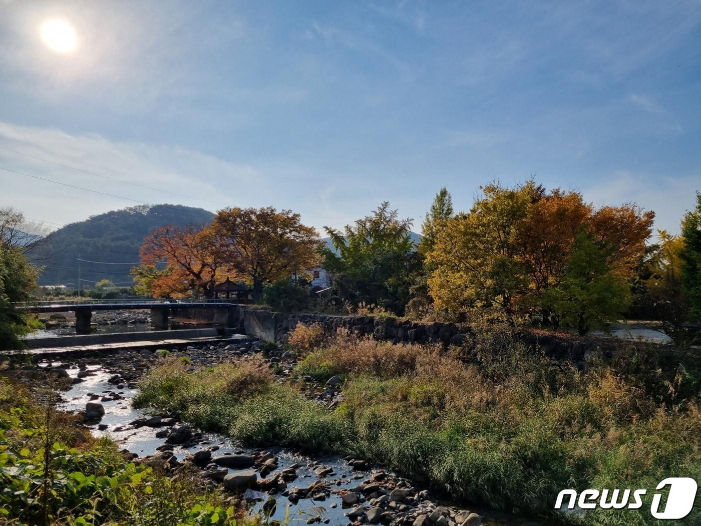 본문 이미지 - 반딧불이와 수달이 서식하는 광주 무등산 평촌마을 모습(광주시 제공) 2024.3.8/뉴스1