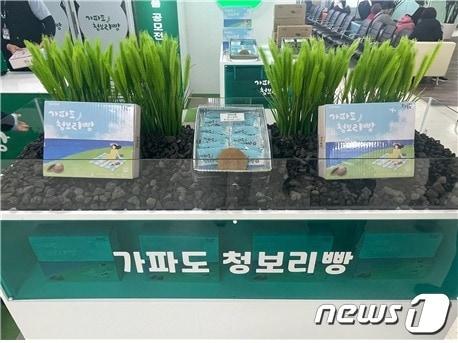 본문 이미지 - 가파도 청보리빵(제주공항 제공)/뉴스1 