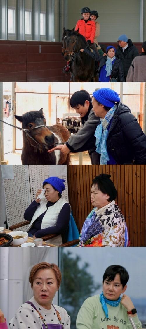 본문 이미지 - 사진=KBS 2TV '박원숙의 같이삽시다'