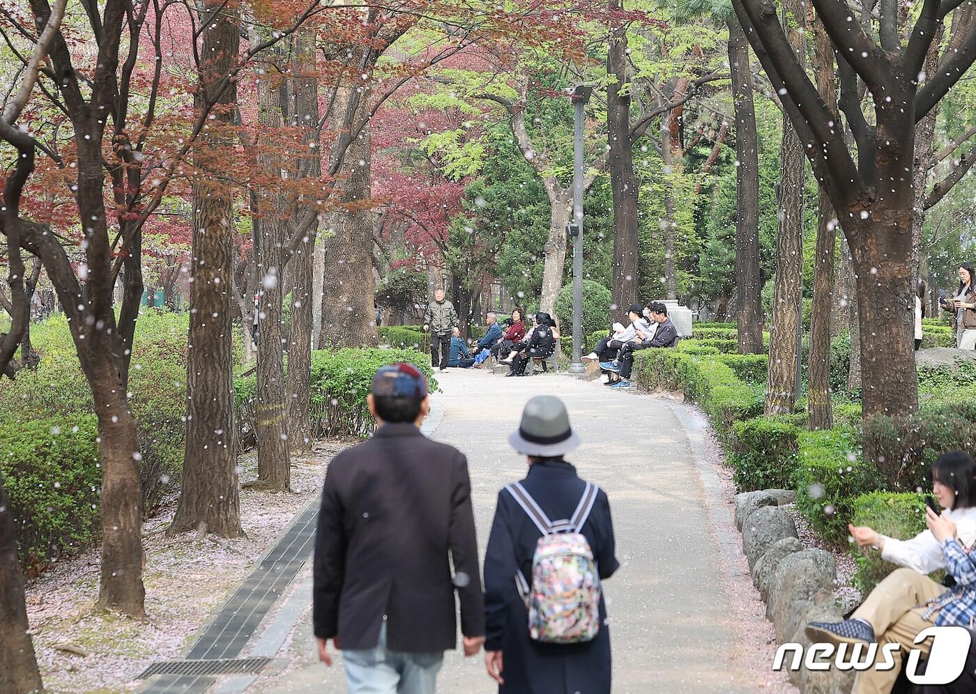 본문 이미지 - 제22대 국회의원 선거일이자 임시 공휴일인 10일 오후 서울 송파구 석촌호수 벚꽃길을 찾은 시민들이 떨어지는 벚꽃잎 아래 산책을 하고 있다. 2024.4.10/뉴스1 ⓒ News1 김진환 기자