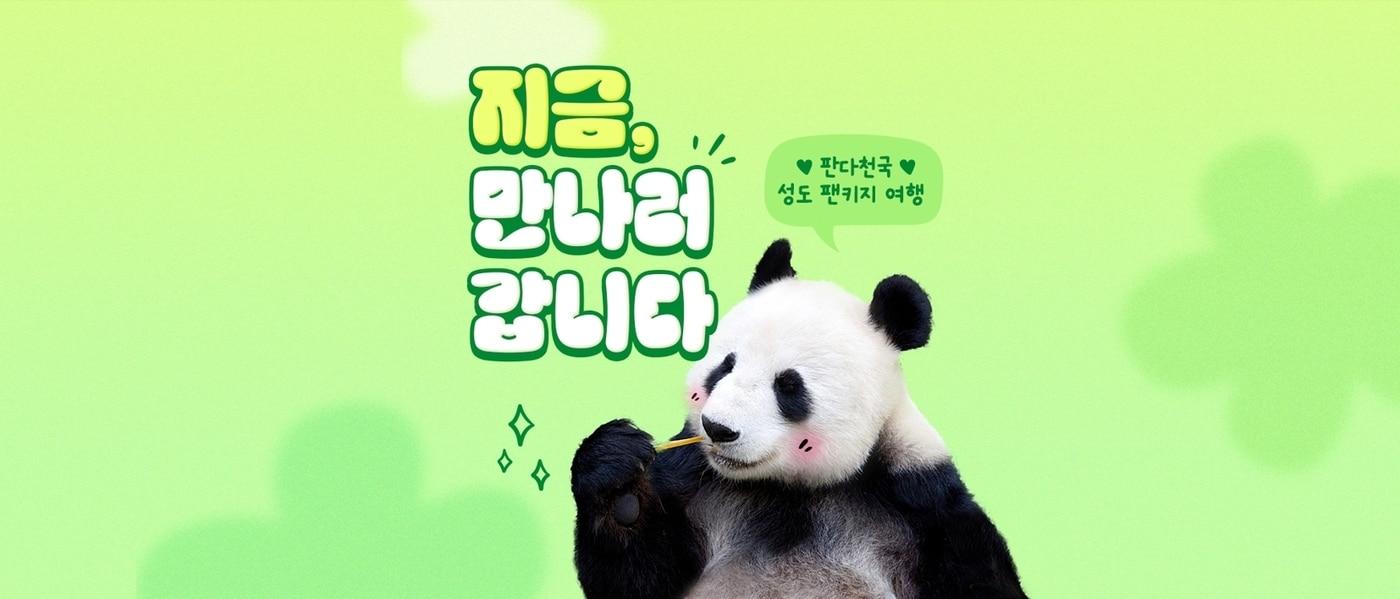 성도 팬키지 여행(하나투어 제공)