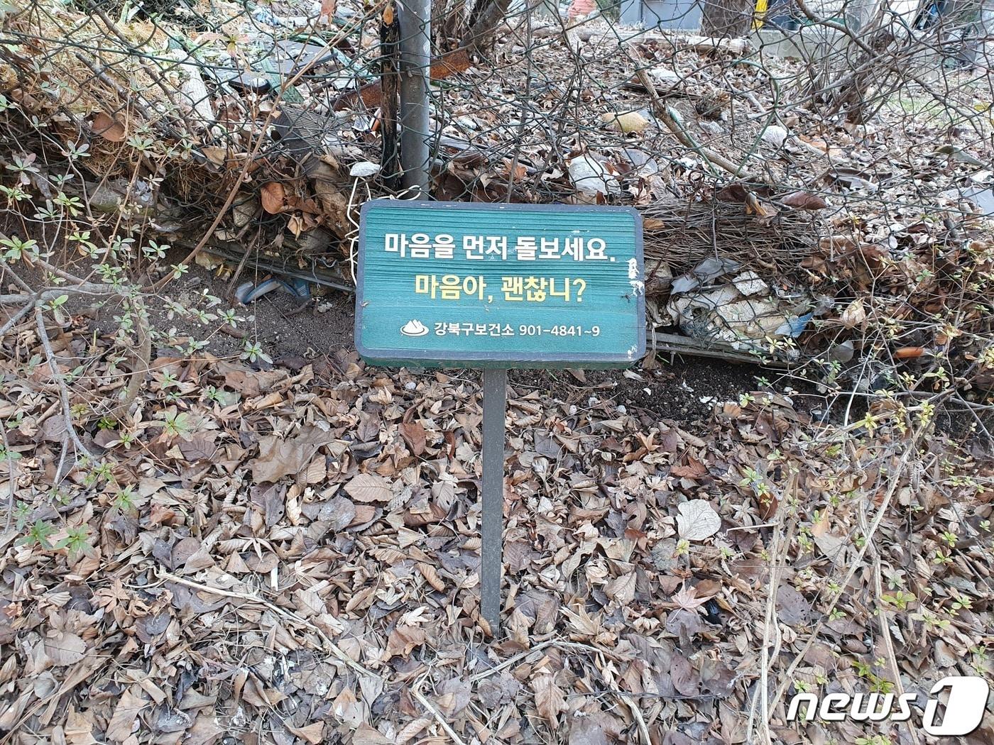 본문 이미지 -  강북구, 생명사랑 마음 건강 숲길 정비 (강북구 제공)
