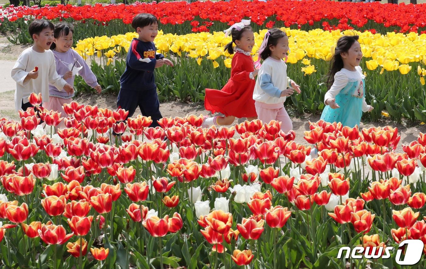 본문 이미지 - 6일 대전·충남은 대체로 맑은 가운데 일교차가 10~15도 안팎을 보일 것으로 예보됐다. 대전 유성구 유림공원에서 나들이 나온 유성구청 어린이집 원생들이 만개한 튤립사이로 즐거운 시간을 보내고 있다.  ⓒ 뉴스1 김기태 기자