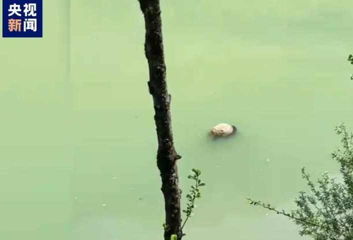 본문 이미지 - 중국 중앙(CC)TV 갈무리