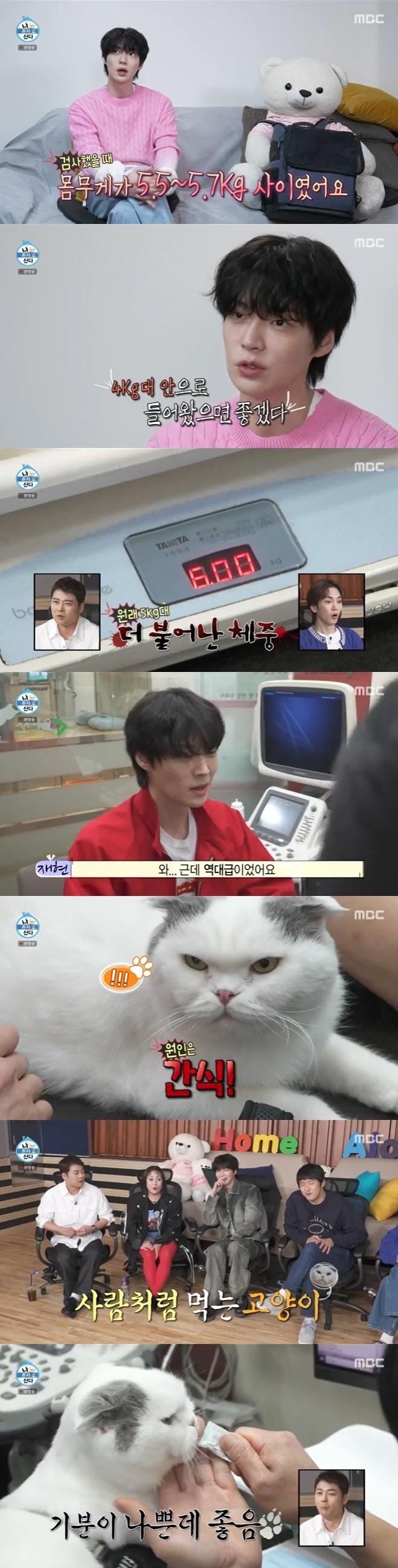 본문 이미지 - MBC '나 혼자 산다' 캡처