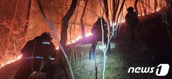 본문 이미지 - 부산 강서구 산불 현장(산림청 제공)/뉴스1