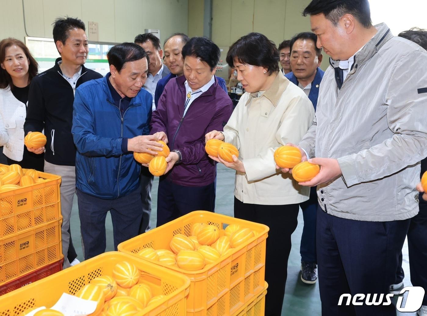 본문 이미지 - 송미령 농림축산식품부 장관이 지난해 4월 경북 성주군 월항 농협농산물산지유통센터(APC)를 방문해 작황 확인 및 출하 동향을 점검하고 있다. (농식품부 제공) 2024.4.14/뉴스1
