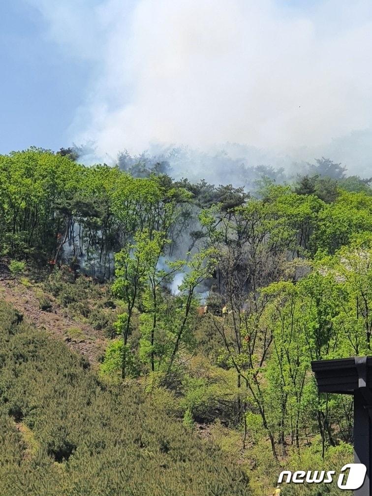 본문 이미지 - 14일 오전 11시9분께 경기 김포시 월곶면의 문수산에서 화재가 발생했다.(경기 김포소방서 제공)/뉴스1