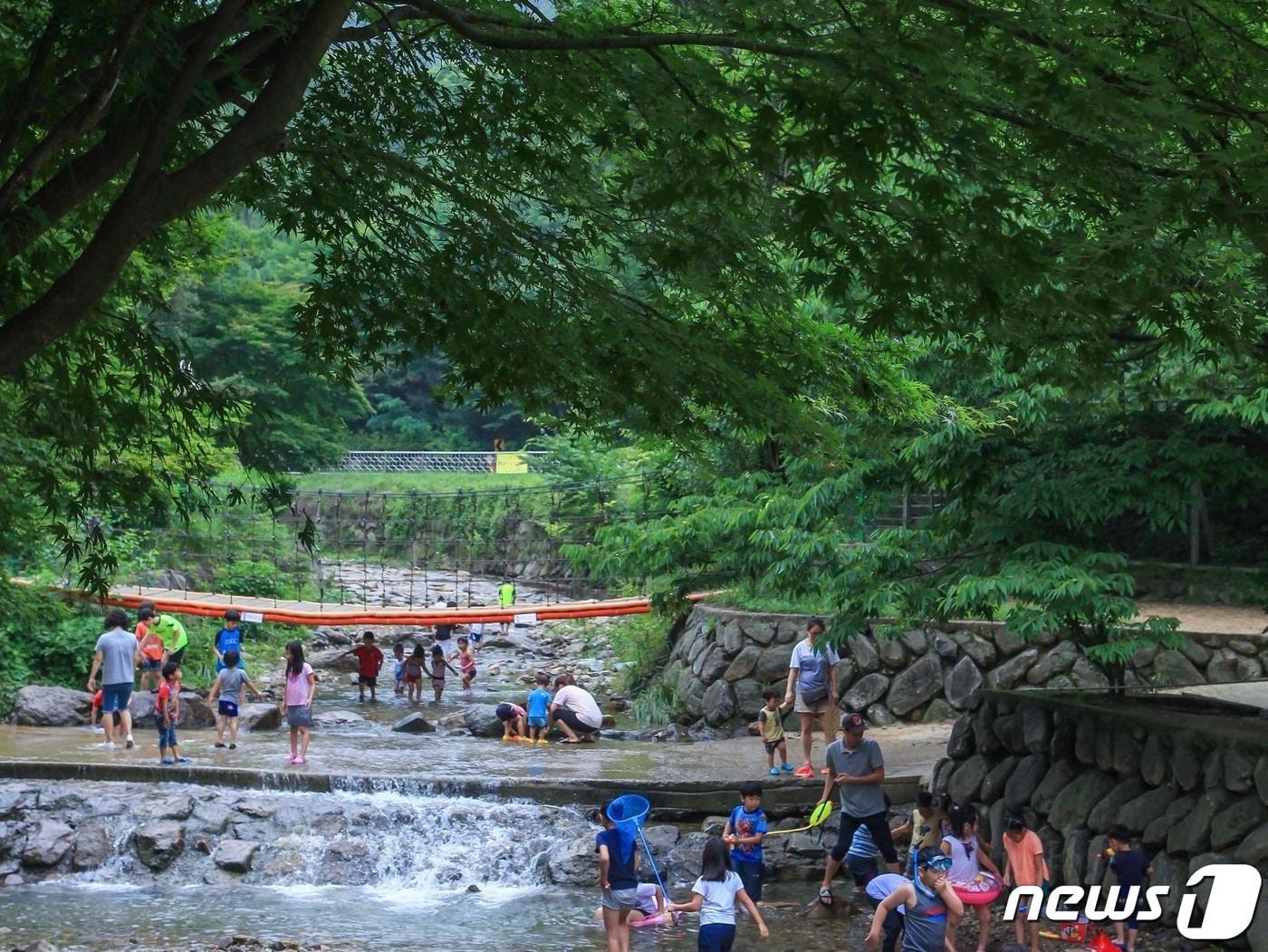 본문 이미지 - 구미 금오산야영장(구미시 제공) 2024.4.15/뉴스1
