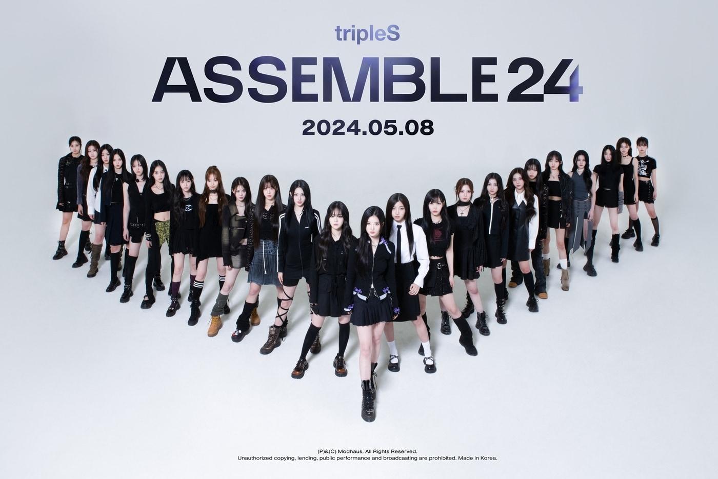 본문 이미지 - 사진제공=모드하우스